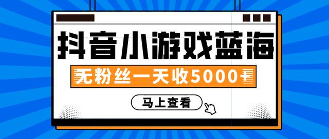 赚钱计划：抖音小游戏蓝海项目，无粉丝一天收入5000+-私藏资源社