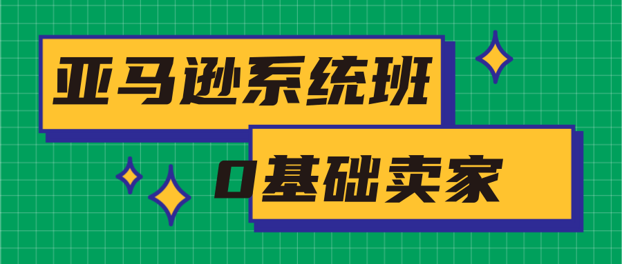 亚马逊系统班，专为0基础卖家量身打造，亚马逊运营流程与架构-私藏资源社