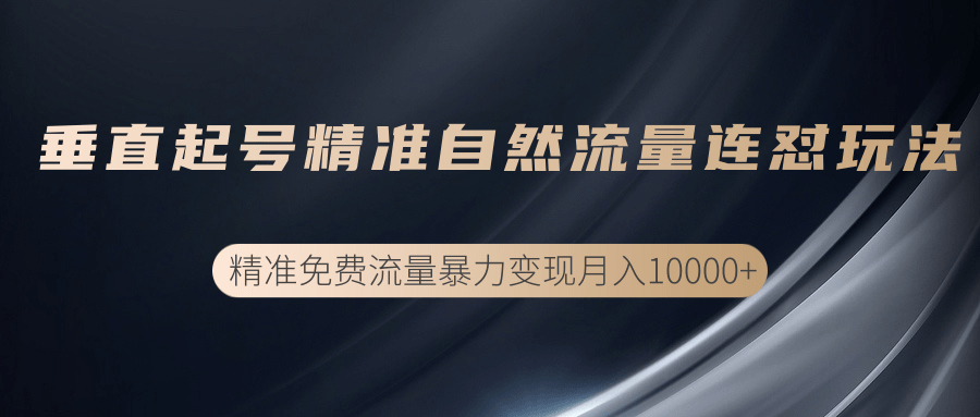 垂直起号精准自然流量连爆玩法，精准引流暴力变现月入10000+-私藏资源社