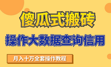 搬砖操作大数据查询信用项目赚钱教程，祝你快速月入6万-私藏资源社