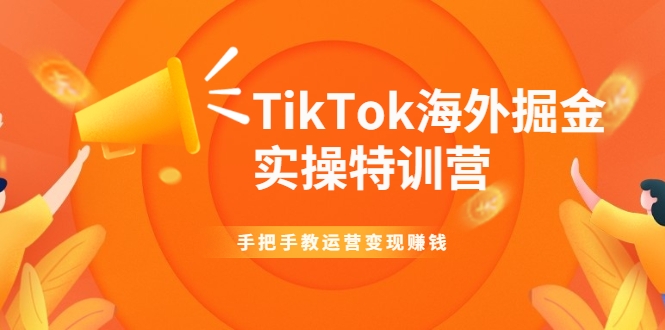 TikTok海外掘金实操特训营：手把手教运营变现赚钱-私藏资源社