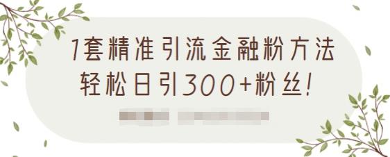 1套精准引流金融粉方法，轻松日引300+粉丝-私藏资源社