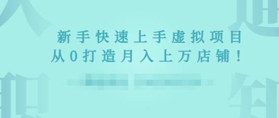 2022年虚拟项目实战指南，新手从0打造月入上万店铺-私藏资源社