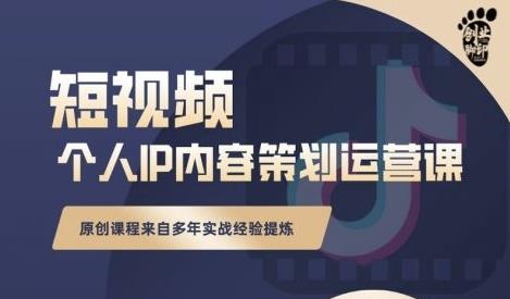 抖音短视频个人ip内容策划实操课，真正做到普通人也能实行落地-私藏资源社