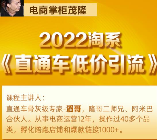 茂隆2022直通车低价引流玩法，教大家如何低投入高回报的直通车玩法-私藏资源社