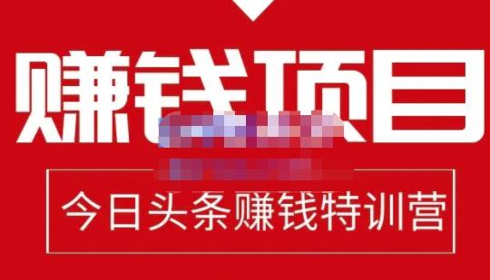 懒人领域·今日头条项目玩法，头条中视频项目，单号收益在50—500可批量-私藏资源社