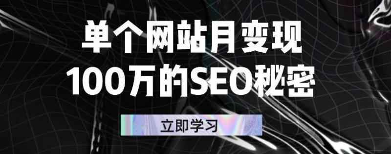 单个网站月变现100万的SEO秘密，百分百做出赚钱站点-私藏资源社