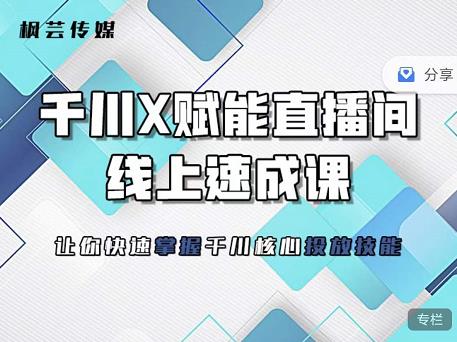 枫芸传媒-线上千川提升课，提升千川认知，提升千川投放效果-私藏资源社