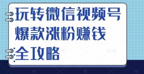 玩转微信视频号爆款涨粉赚钱全攻略，让你快速抓住流量风口，收获红利财富-私藏资源社