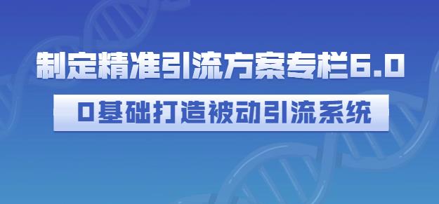 制定精准引流方案专栏6.0，0基础打造被动引流系统-私藏资源社