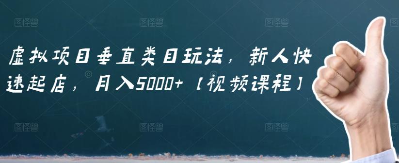 虚拟项目垂直类目玩法，新人快速起店，月入5000+【视频课程】-私藏资源社