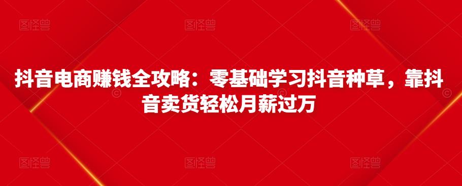 抖音电商赚钱全攻略：零基础学习抖音种草，靠抖音卖货轻松月薪过万-私藏资源社