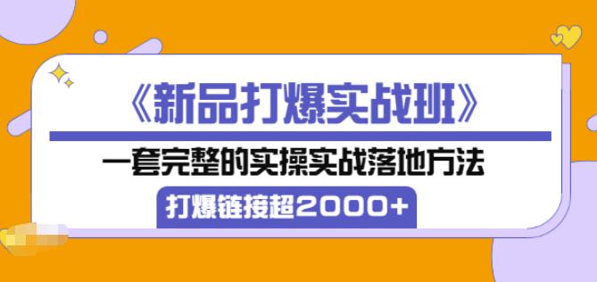 凌童《新品打爆实战班》,一套完整的实操实战落地方法，打爆链接超2000+（28节课)-私藏资源社