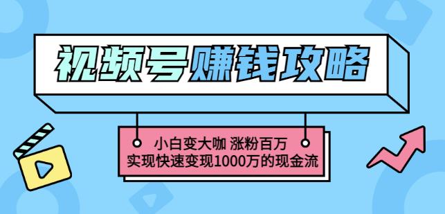 玩转微信视频号赚钱：小白变大咖涨粉百万实现快速变现1000万的现金流-私藏资源社