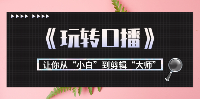 月营业额700万+大佬教您《玩转口播》让你从“小白”到剪辑“大师”-私藏资源社