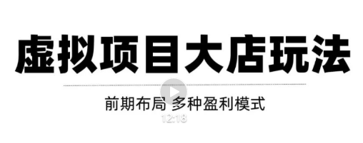 虚拟项目月入几万大店玩法分享，多店操作利润倍增（快速起店盈利）-私藏资源社