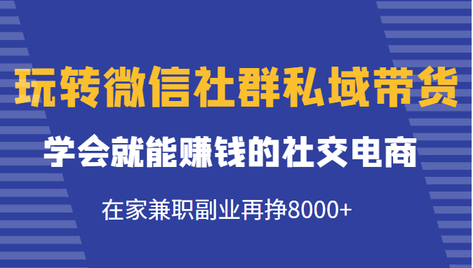 玩转微信社群私域带货，学会就能赚钱的社交电商，在家兼职副业再挣8000+-私藏资源社