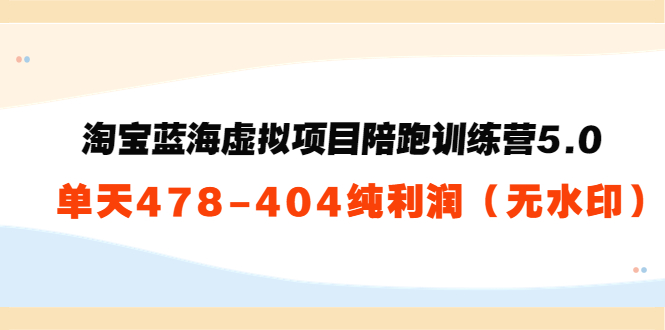 淘宝蓝海虚拟项目陪跑训练营5.0：单天478纯利润-私藏资源社