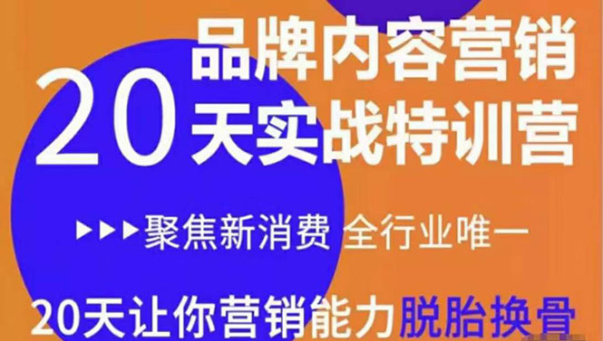 《内容营销实操特训营》20天让你营销能力脱胎换骨（价值3999）-私藏资源社