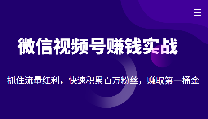 微信视频号赚钱实战：抓住流量红利，快速积累百万粉丝，赚取你的第一桶金-私藏资源社