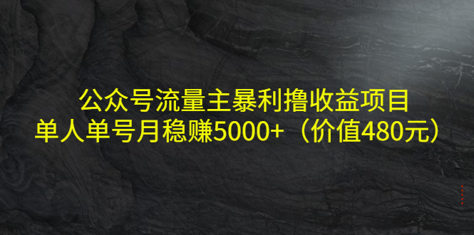 公众号流量主暴利撸收益项目，单人单号月稳赚5000+（价值480元）-私藏资源社