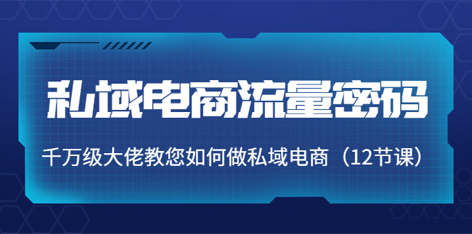 私域电商流量密码：千万级大佬教您如何做私域电商（12节课）-私藏资源社