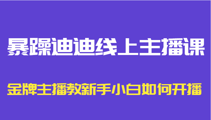 暴躁迪迪线上主播课，金牌主播教新手小白如何开播-私藏资源社