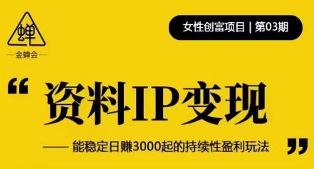 资料IP变现，能稳定日赚3000起的持续性盈利玩法-私藏资源社