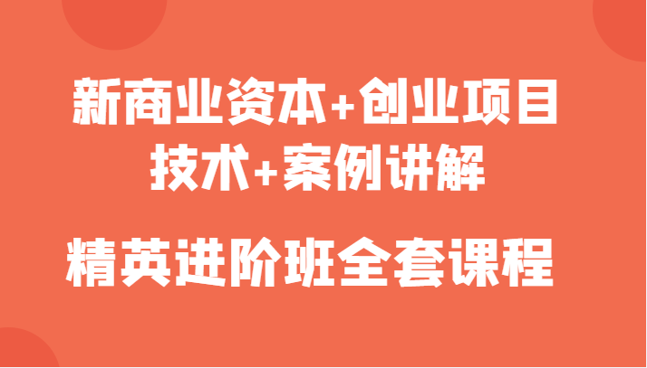 新商业资本+创业项目，技术+案例讲解，精英进阶班全套课程-私藏资源社