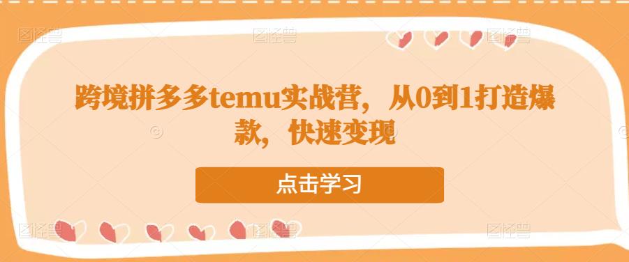 跨境拼多多temu实战营，从0到1打造爆款，快速变现-私藏资源社