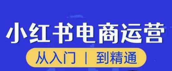 顽石小红书电商高阶运营课程，从入门到精通，玩法流程持续更新-私藏资源社