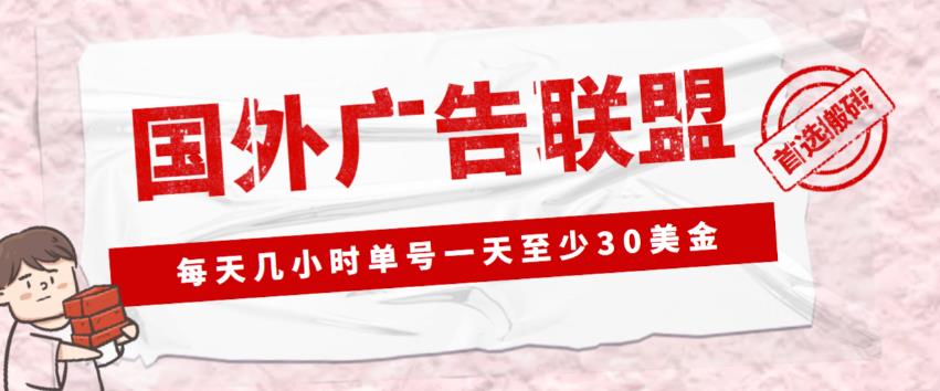 外面收费1980的最新国外LEAD广告联盟搬砖项目，单号一天至少30美金【详细玩法教程】-私藏资源社