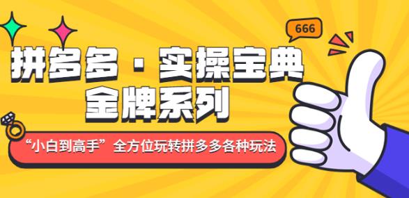 拼多多·实操宝典：金牌系列“小白到高手”带你全方位玩转拼多多各种玩法-私藏资源社