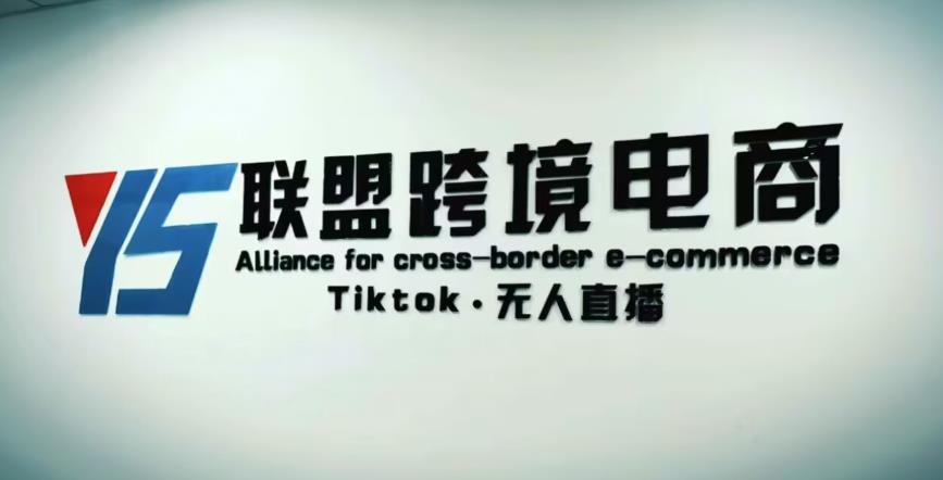 YS联盟·Tiktok无人直播，不出镜不剪辑不拍摄不发货无售后的跨境短视频躺赚玩法-私藏资源社