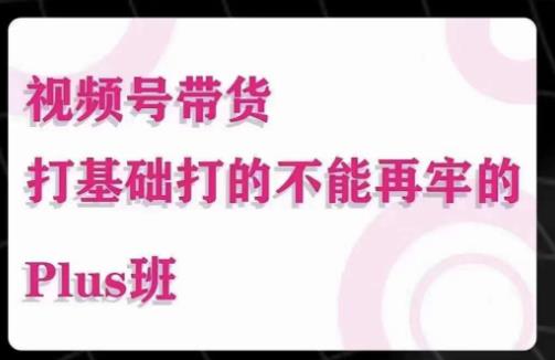 大播汇·视频号带货Puls班，视频号底层逻辑，起号自然流鱼塘等玩法-私藏资源社