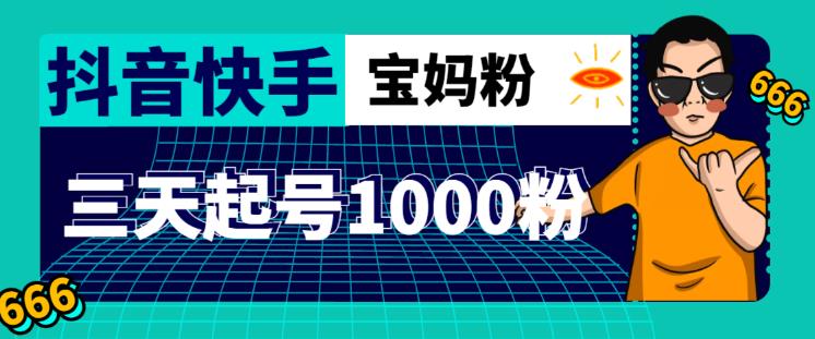 抖音快手三天起号涨粉1000宝妈粉丝的核心方法【详细玩法教程】-私藏资源社