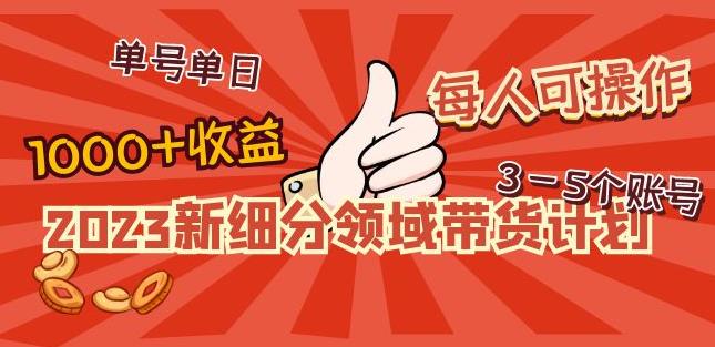 2023新细分领域带货计划：单号单日1000+收益不难，每人可操作3-5个账号-私藏资源社