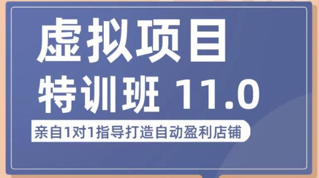 陆明明·虚拟项目特训班（10.0+11.0），0成本获取虚拟素材，0基础打造自动盈利店铺-私藏资源社