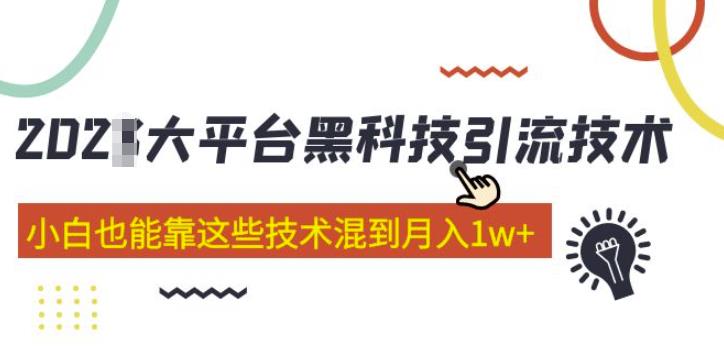 大平台黑科技引流技术，小白也能靠这些技术混到月入1w+(2022年的课程）-私藏资源社