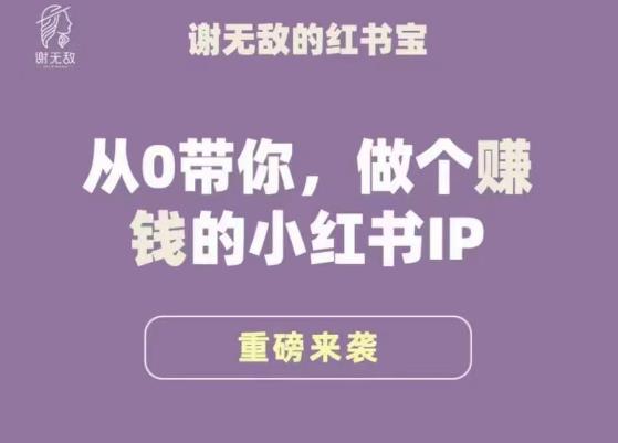 谢无敌·小红书运营大宝典，从0带你做个赚钱的小红书IP-私藏资源社