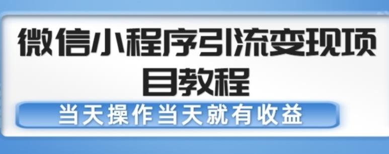 微信小程序引流变现项目教程，当天操作当天就有收益，变现不再是难事-私藏资源社