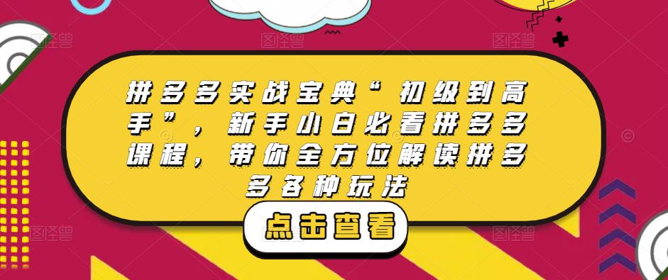 拼多多实战宝典“初级到高手”，新手小白必看拼多多课程，带你全方位解读拼多多各种玩法-私藏资源社