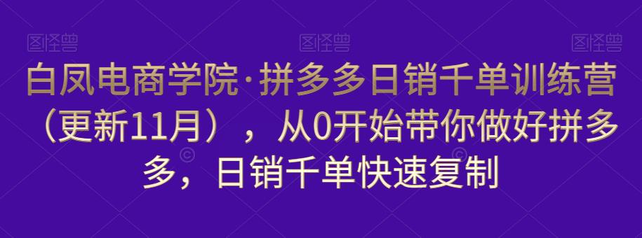 白凤电商学院·拼多多日销千单训练营，从0开始带你做好拼多多，日销千单快速复制（更新知2023年3月）-私藏资源社