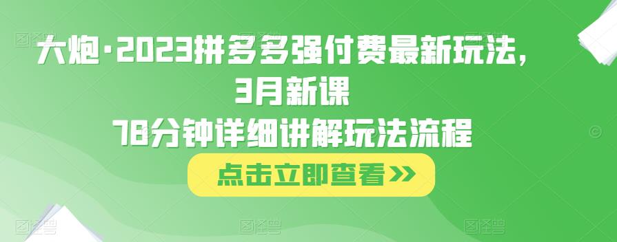 大炮·2023拼多多强付费最新玩法，3月新课​78分钟详细讲解玩法流程-私藏资源社