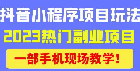 抖音小程序9.0新技巧，2023热门副业项目，动动手指轻松变现-私藏资源社