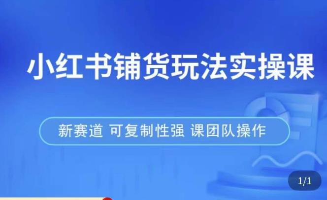 小红书铺货玩法实操课，流量大，竞争小，非常好做，新赛道，可复制性强，可团队操作-私藏资源社