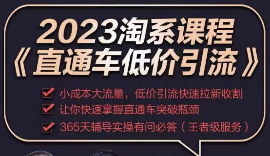 2023直通车低价引流玩法课程，小成本大流量，低价引流快速拉新收割，让你快速掌握直通车突破瓶颈-私藏资源社