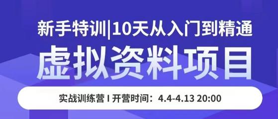 虚拟资料项目新手特训，10天从入门到精通，保姆级实操教学-私藏资源社