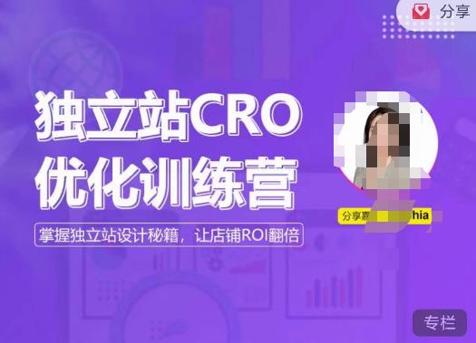 独立站CRO优化训练营，掌握独立站设计秘籍，打造高转化的独立站，让店铺ROI翻倍-私藏资源社