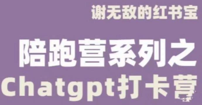 谢无敌ChatGPT打卡营，教你更好地使用ChatGPT来提高工作效率-私藏资源社